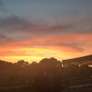 Meet your Posher, Paloma